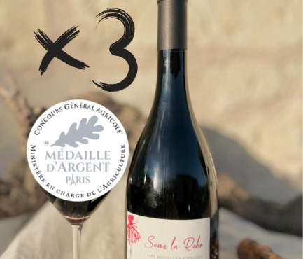 Domaine de la Chopinière du Roy - Lot de 3 Bouteilles de vin rouge Saint Nicolas de Bourgueil cuvée Sous la Robe 2023 - 3 x 75 cl