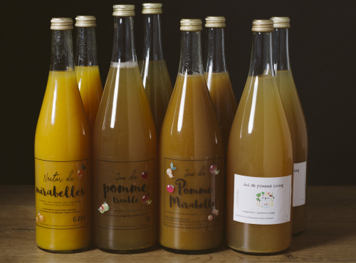 La Ferme des Prun'Elles - lot de 12 jus de fruits