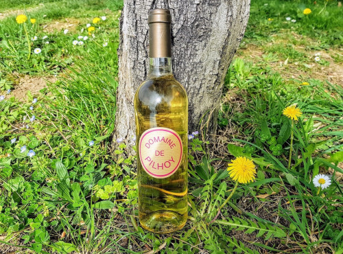 Domaine de Pilhoy - Vin Blanc AOC Bordeaux