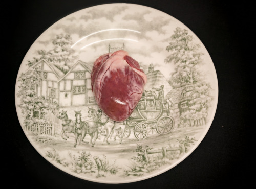 Boucherie Puig - Cœur d'agneau x1