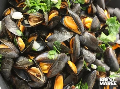 Brest Marée - Moules de Bouchot AOP Baie du Mont St-Michel - 1kg