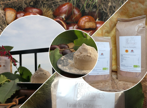 L'Art des Châtaignes - Farine de châtaigne Bio