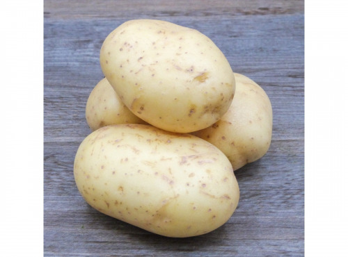 Nature et Saveurs - Ferme Aquaponique et Permacole Astérienne - Pomme de terre Agata - 2Kg
