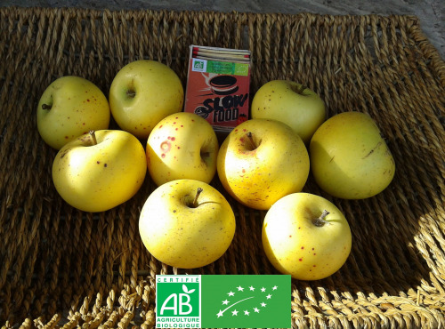 LES JARDINS DE KARINE - POMME "bonne à tout" Reinette du Mans - 1kg