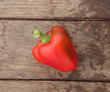 HERBA HUMANA - Piment frais frais Salsa