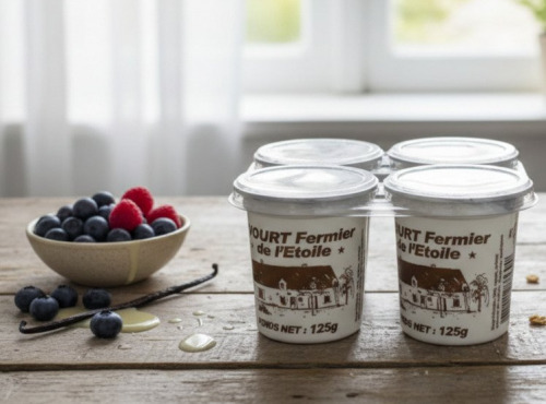 La Ferme Durbois - Yaourts fermiers à la vanille x4
