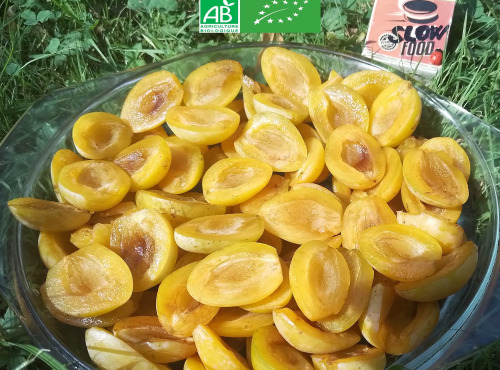LES JARDINS DE KARINE - Quetsche jaune en quartier surgelée - 5kg