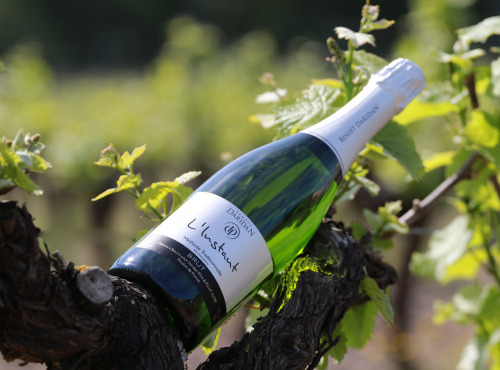 Domaine Daridan - Vin Pétillant L'Instant Blanc