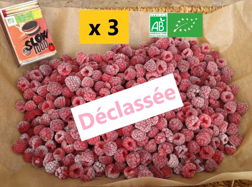 LES JARDINS DE KARINE - Framboises surgelées déclassées à cuire - 3kg