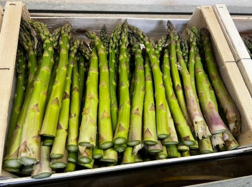 Domaine Reverchon - Asperge verte 500g