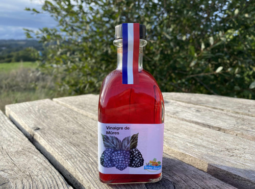 Ferme Sinsac - Vinaigre de Mûres 250 ml