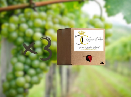 Domaine de la Chopinière du Roy - Lot 3 BIB de vin Blanc sec et aromatique 2025 Chenin - 3L