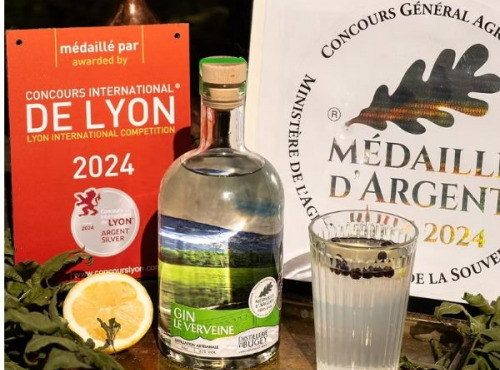 Distillerie du Bugey - Gin Le verveine 3L