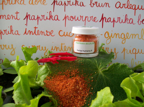 HERBA HUMANA - Paprika Belrubi Cultivé en France 3g