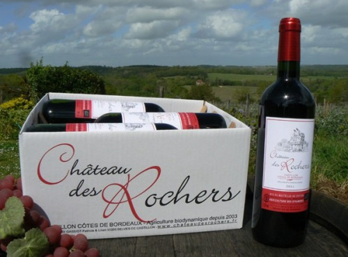 Château des Rochers - Vin rouge AOC Castillon-côte de Bordeaux 2018X6