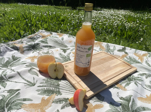 Ferme des Gravelines - Jus de Pomme BIO 1L