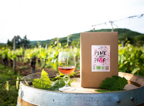 Domaine la Paganie - Rosé biologique BIB 5 litres