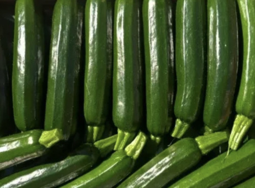 L'OLIVERAIE DU COUDON - COURGETTE VERTE PRIMEUR 5kg