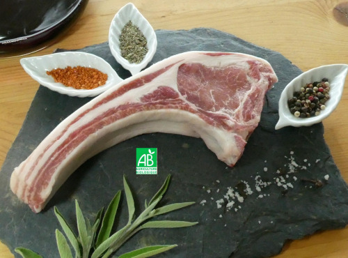 Terres EnVie - Côtes de Porcelet Mangalica Bio 1kg