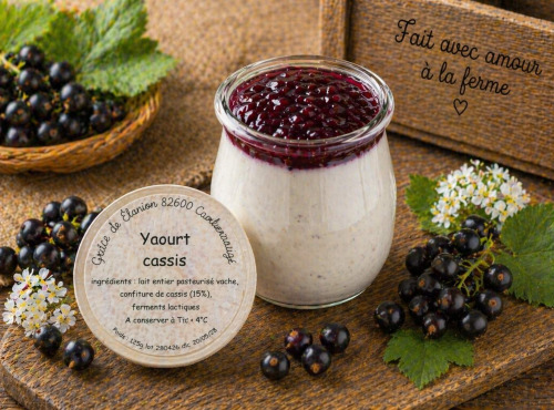 Gaec de l'Elanion - Yaourt Confiture Cassis 125g