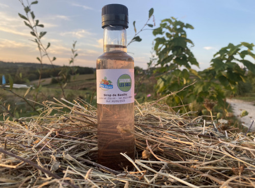 Ferme Sinsac - Sirop de basilic pourpre