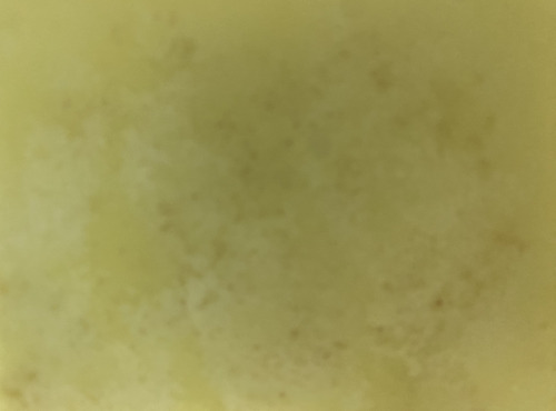 Des Poules et des Vignes à Bourgueil - Graisse de canard et poule aromatisée au curcuma