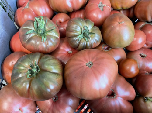 Le Potager de Sainte-Hélène - Tomate noire de crimée