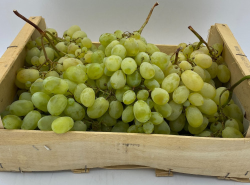 Le Panier du Producteur - Raisin "Blanc"