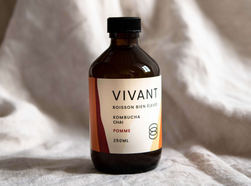 Vivant Kombucha - Kombucha Chai Pomme bio x6 (édition limitée)