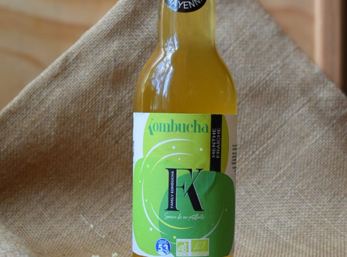 Dégustonfoin - 6 x Kombucha "Menthe" BIO 33cl