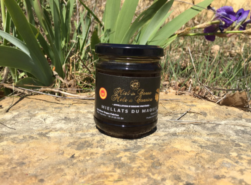 Depuis des Lustres - Comptoir Corse - Miel de Corse AOP Miellats du Maquis - 250 g