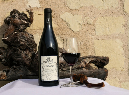Domaine de la Chopinière du Roy - Vin rouge Bourgueil - Cuvée d'Antan 2023 - 6x75cl