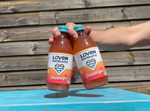 LOVEN Crew - Brasserie L'Indispensable - Kombucha Flamingo (Fraise, Pamplemousse & Houblon) - 6x33cl (EPHEMERE)