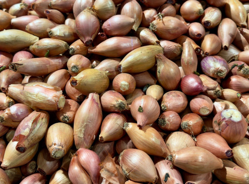 Nature et Saveurs - Ferme Aquaponique et Permacole Astérienne - Échalote - 1Kg