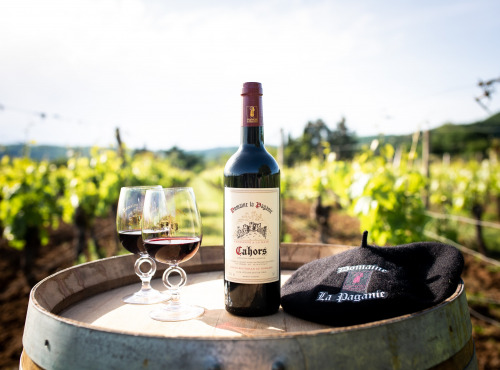 Domaine la Paganie - Vin Rouge du Domaine de la Paganie - 2015 AOC Cahors x6