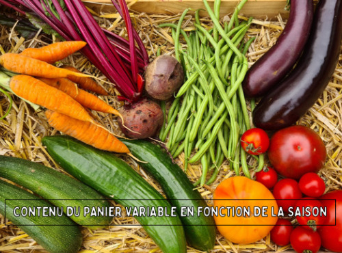 La Ferme de Goas Per - Panier de légumes de saison Bio
