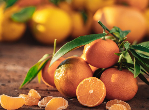 Maison Gannac - Clémentines 2 kg