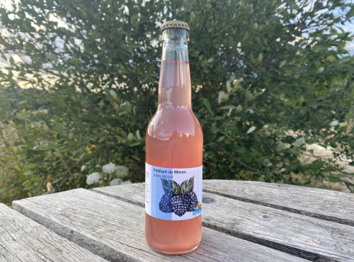 Ferme Sinsac - Petillant de Mures sans alcool 6 x 75cl