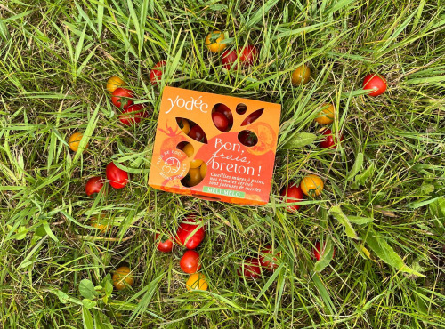 Agriloops - Tomates Cerises Méli Mélo 250g
