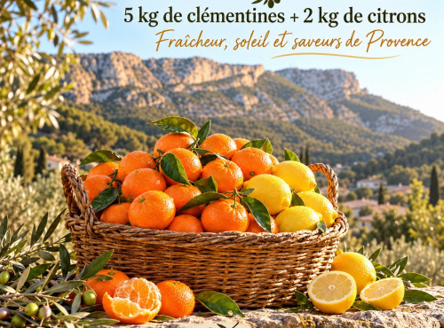 L'OLIVERAIE DU COUDON - PANIER AGRUMES – 5 KG DE CLÉMENTINES ET 2 KG DE CITRONS