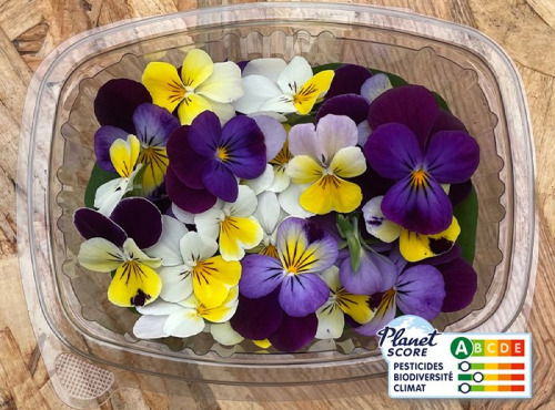 Les Nouvelles Fermes - Fleurs de pensées comestibles (boite de 40 fleurs)