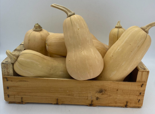 Le Panier du Producteur - Butternut - 1kg