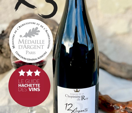 Domaine de la Chopinière du Roy - Lot de 3 Bouteilles de vin rouge Saint Nicolas de Bourgueil cuvée 12 Arpents 2023 - 3 x 75 cl