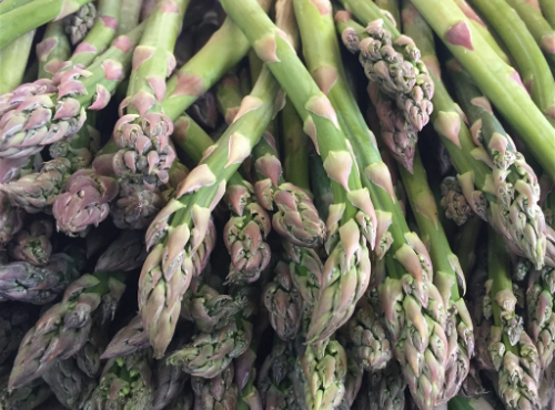 Le Châtaignier - Asperges vertes 500g