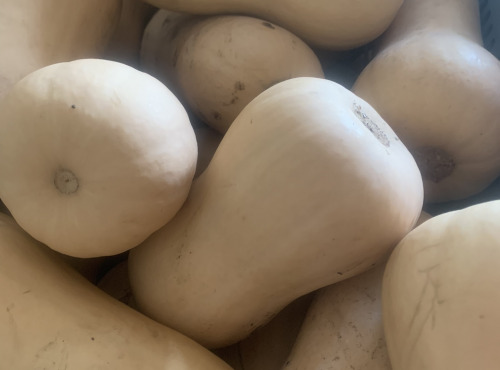 Ferme Cadillon - Butternuts - HVE