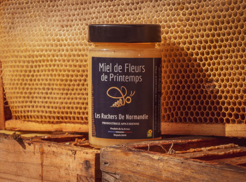 Les Ruchers de Normandie - Miel de Fleurs de printemps crémeux 250g