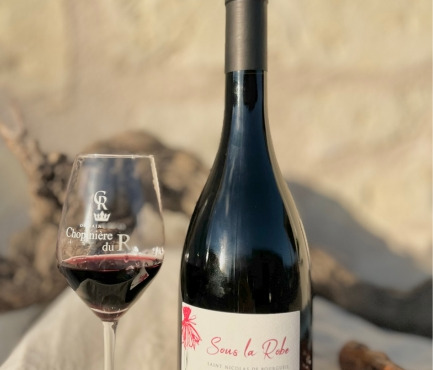 Domaine de la Chopinière du Roy - Vin rouge Saint Nicolas de Bourgueil - Cuvée Sous la Robe 2023 - 6x75cl