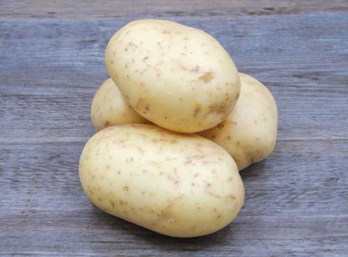 Nature et Saveurs - Ferme Aquaponique et Permacole Astérienne - Pommes de Terre AGATA