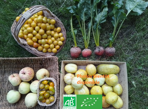 LES JARDINS DE KARINE - PANIER modulable Fruits et Légumes JAUNES d'AUTOMNE