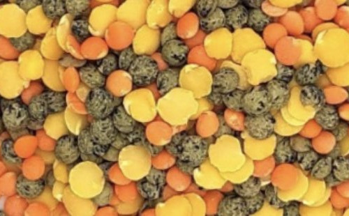 L'OLIVERAIE DU COUDON - LENTILLES TRIO BIO – PAQUET 500 G